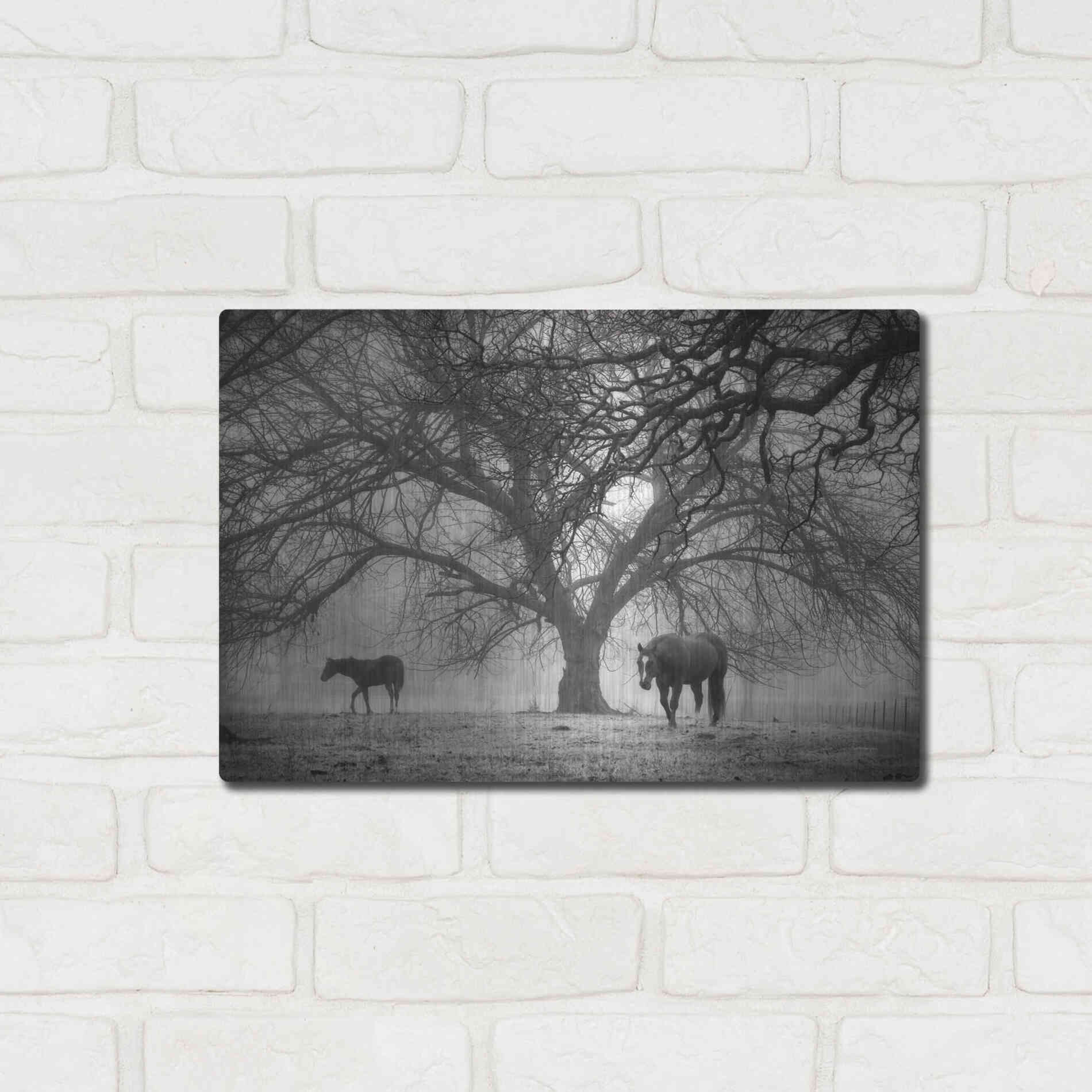 Luxe Metal Art 'Morning Calm II BW' by Debra Van Swearingen, Metal Wall Art,16x12