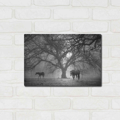 Luxe Metal Art 'Morning Calm II BW' by Debra Van Swearingen, Metal Wall Art,16x12