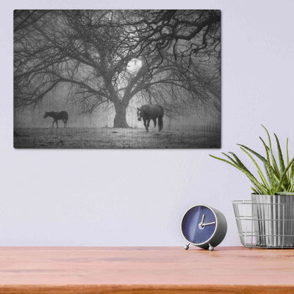 Luxe Metal Art 'Morning Calm II BW' by Debra Van Swearingen, Metal Wall Art,16x12