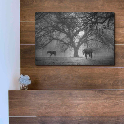 Luxe Metal Art 'Morning Calm II BW' by Debra Van Swearingen, Metal Wall Art,16x12