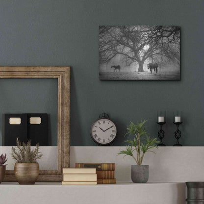 Luxe Metal Art 'Morning Calm II BW' by Debra Van Swearingen, Metal Wall Art,16x12