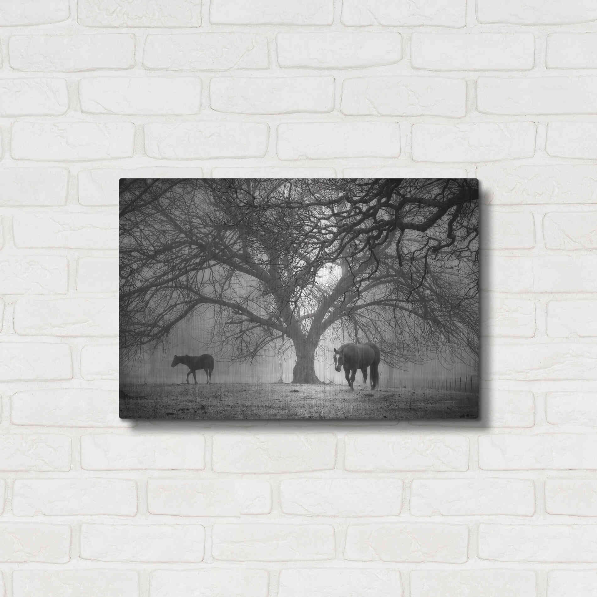 Luxe Metal Art 'Morning Calm II BW' by Debra Van Swearingen, Metal Wall Art,24x16