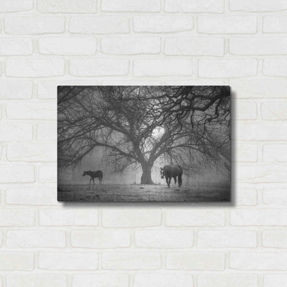 Luxe Metal Art 'Morning Calm II BW' by Debra Van Swearingen, Metal Wall Art,24x16