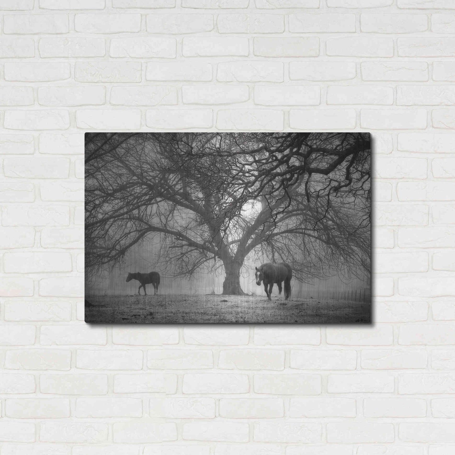 Luxe Metal Art 'Morning Calm II BW' by Debra Van Swearingen, Metal Wall Art,36x24