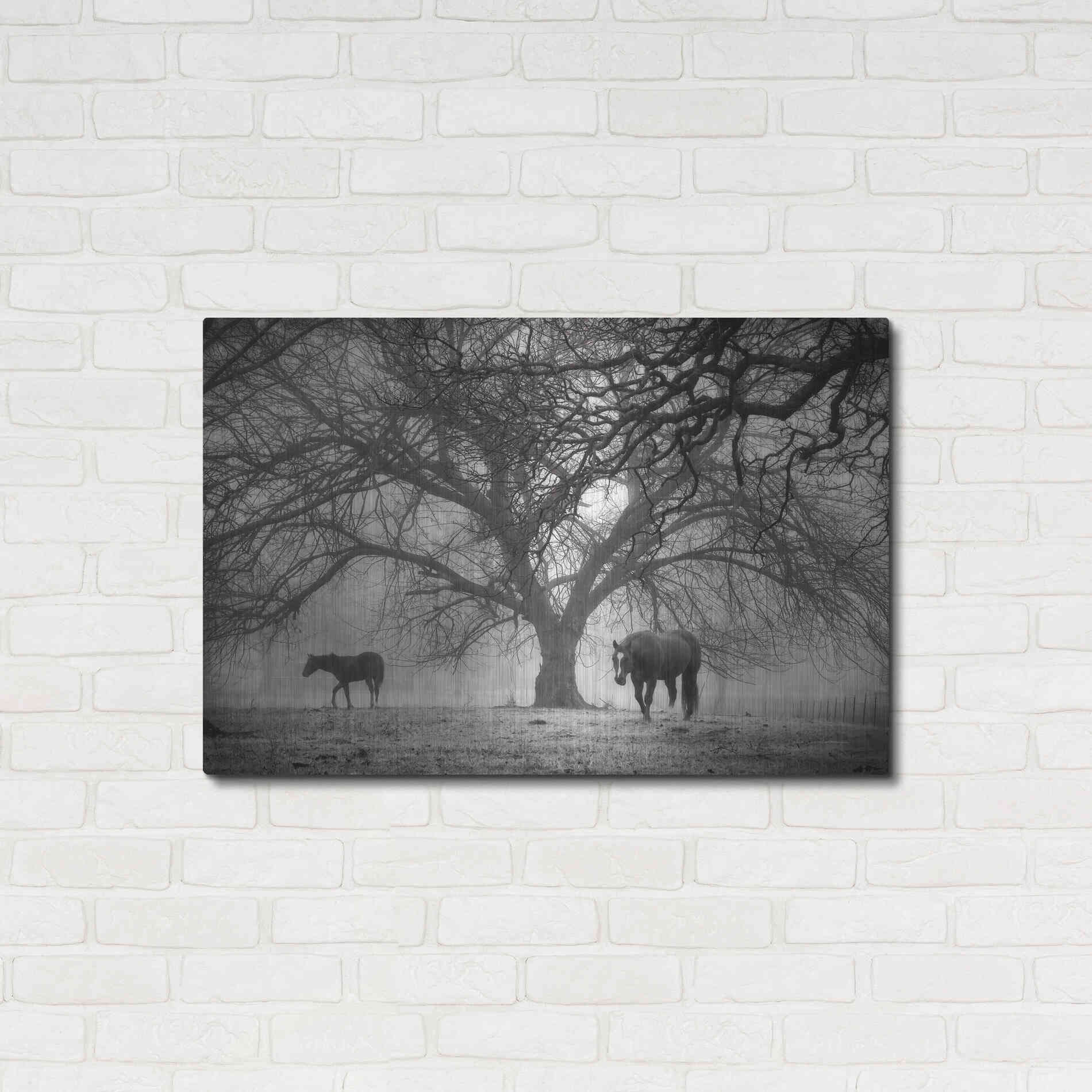 Luxe Metal Art 'Morning Calm II BW' by Debra Van Swearingen, Metal Wall Art,36x24