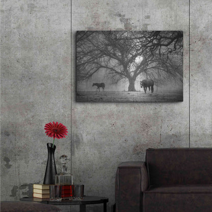 Luxe Metal Art 'Morning Calm II BW' by Debra Van Swearingen, Metal Wall Art,36x24