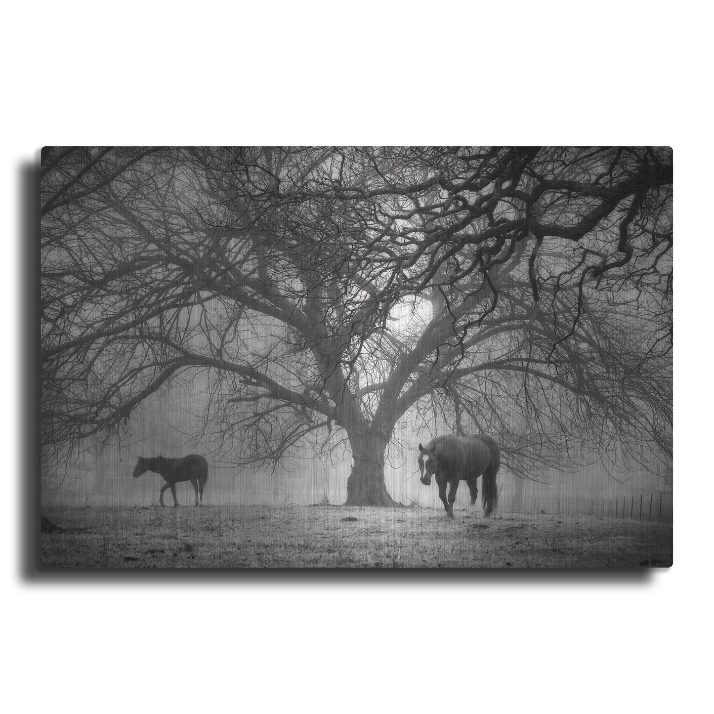 Luxe Metal Art 'Morning Calm II BW' by Debra Van Swearingen, Metal Wall Art