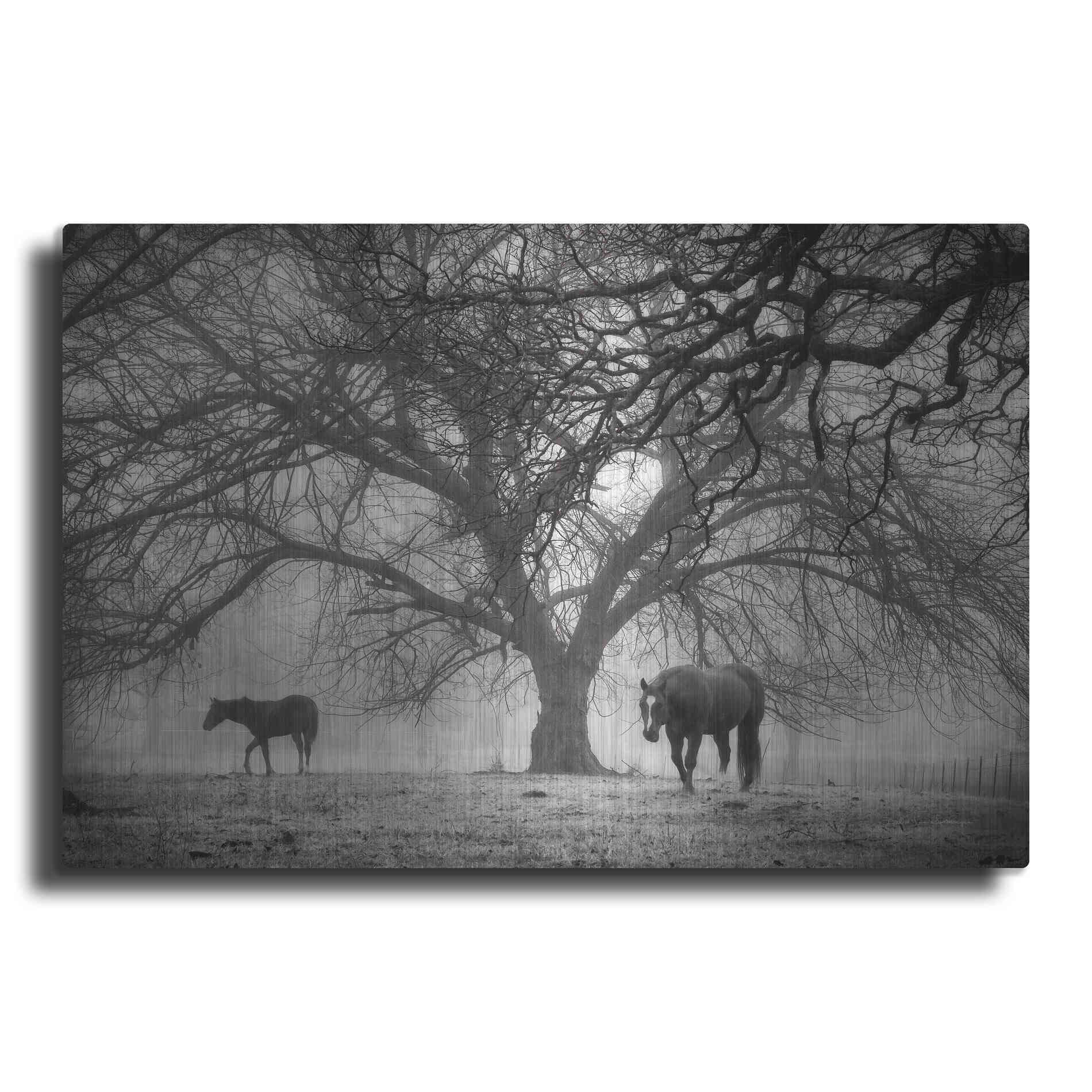 Luxe Metal Art 'Morning Calm II BW' by Debra Van Swearingen, Metal Wall Art