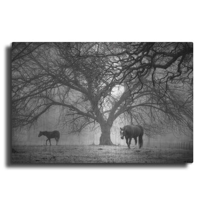 Luxe Metal Art 'Morning Calm II BW' by Debra Van Swearingen, Metal Wall Art