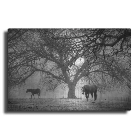 Luxe Metal Art 'Morning Calm II BW' by Debra Van Swearingen, Metal Wall Art