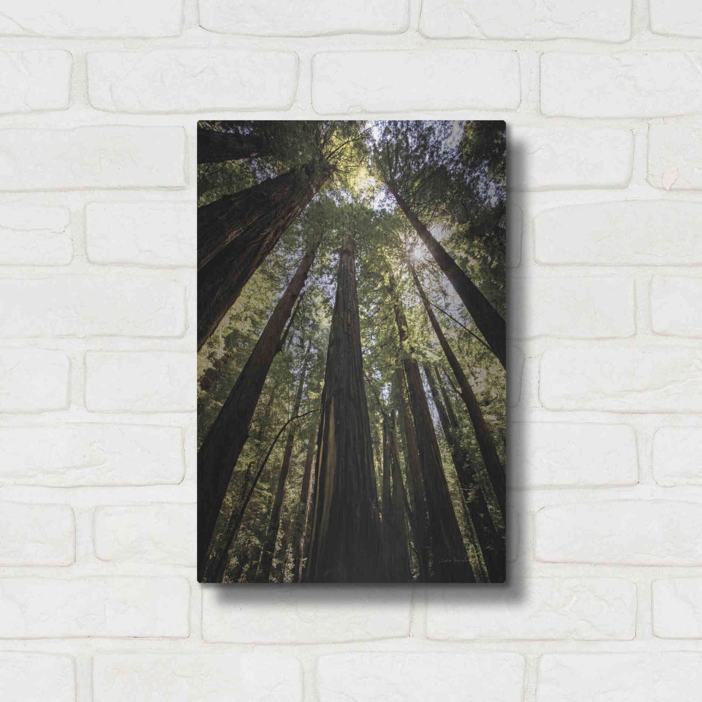 Luxe Metal Art 'The Stand' by Debra Van Swearingen, Metal Wall Art,12x16