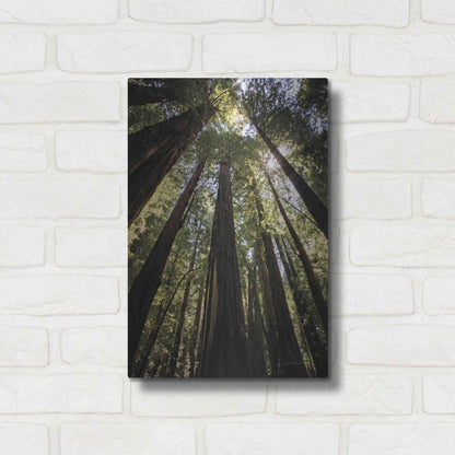 Luxe Metal Art 'The Stand' by Debra Van Swearingen, Metal Wall Art,12x16