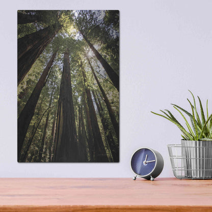 Luxe Metal Art 'The Stand' by Debra Van Swearingen, Metal Wall Art,12x16