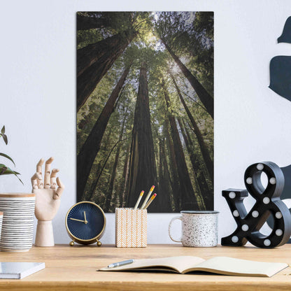 Luxe Metal Art 'The Stand' by Debra Van Swearingen, Metal Wall Art,12x16