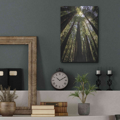 Luxe Metal Art 'The Stand' by Debra Van Swearingen, Metal Wall Art,12x16