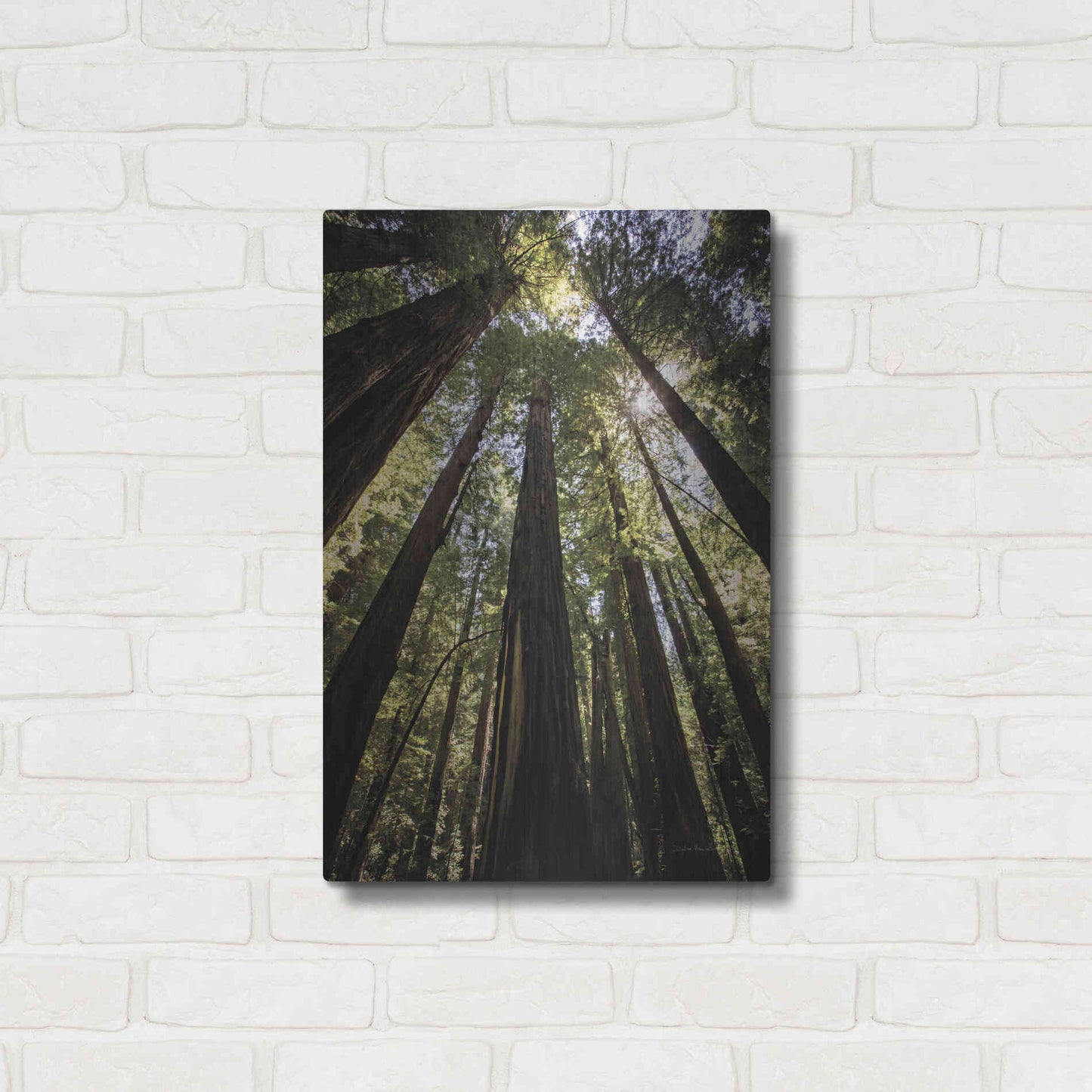 Luxe Metal Art 'The Stand' by Debra Van Swearingen, Metal Wall Art,16x24