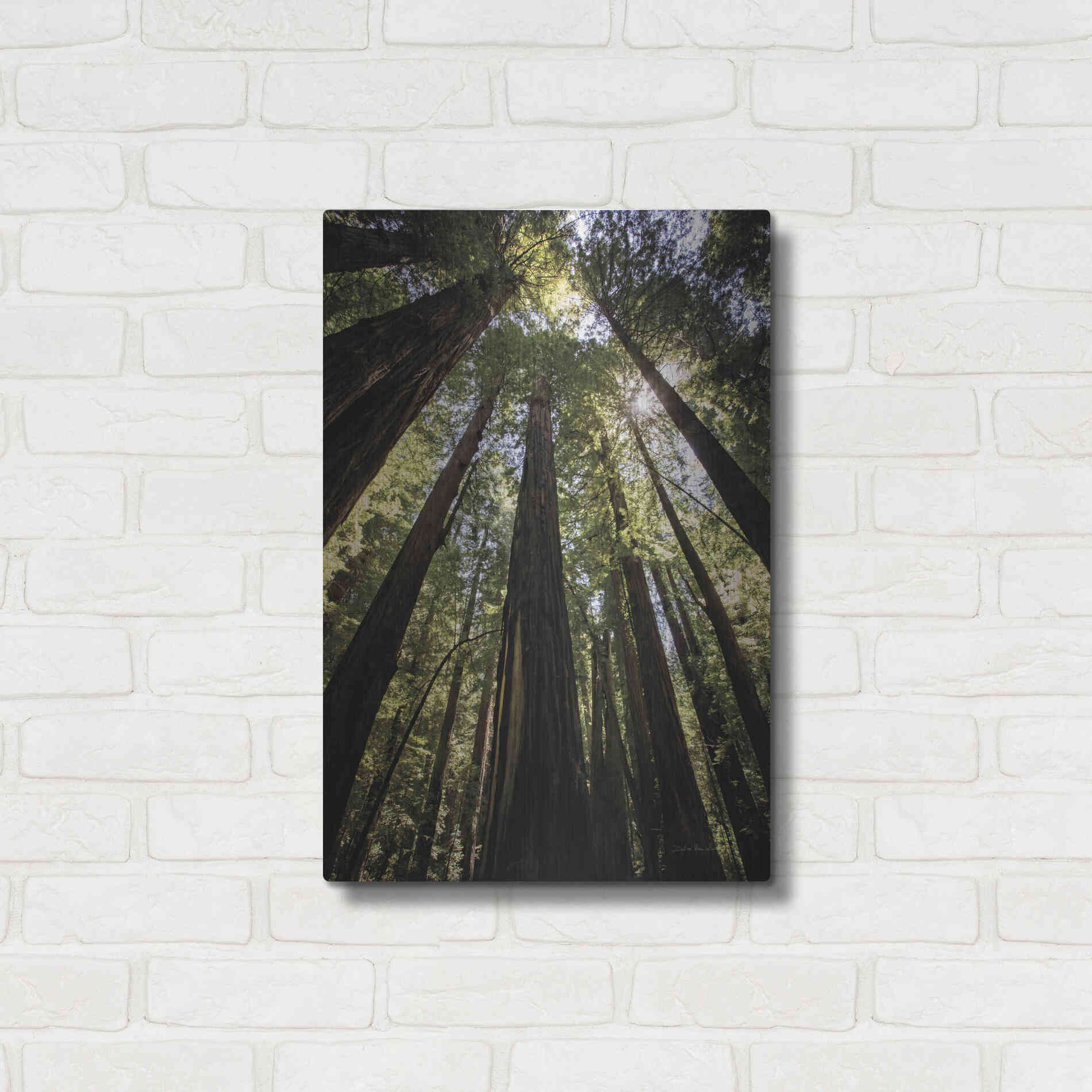 Luxe Metal Art 'The Stand' by Debra Van Swearingen, Metal Wall Art,16x24