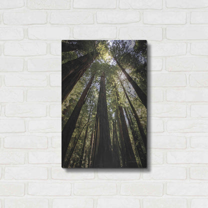 Luxe Metal Art 'The Stand' by Debra Van Swearingen, Metal Wall Art,16x24