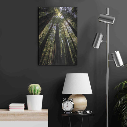 Luxe Metal Art 'The Stand' by Debra Van Swearingen, Metal Wall Art,16x24