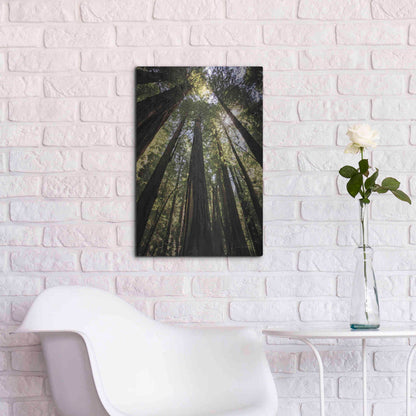 Luxe Metal Art 'The Stand' by Debra Van Swearingen, Metal Wall Art,16x24