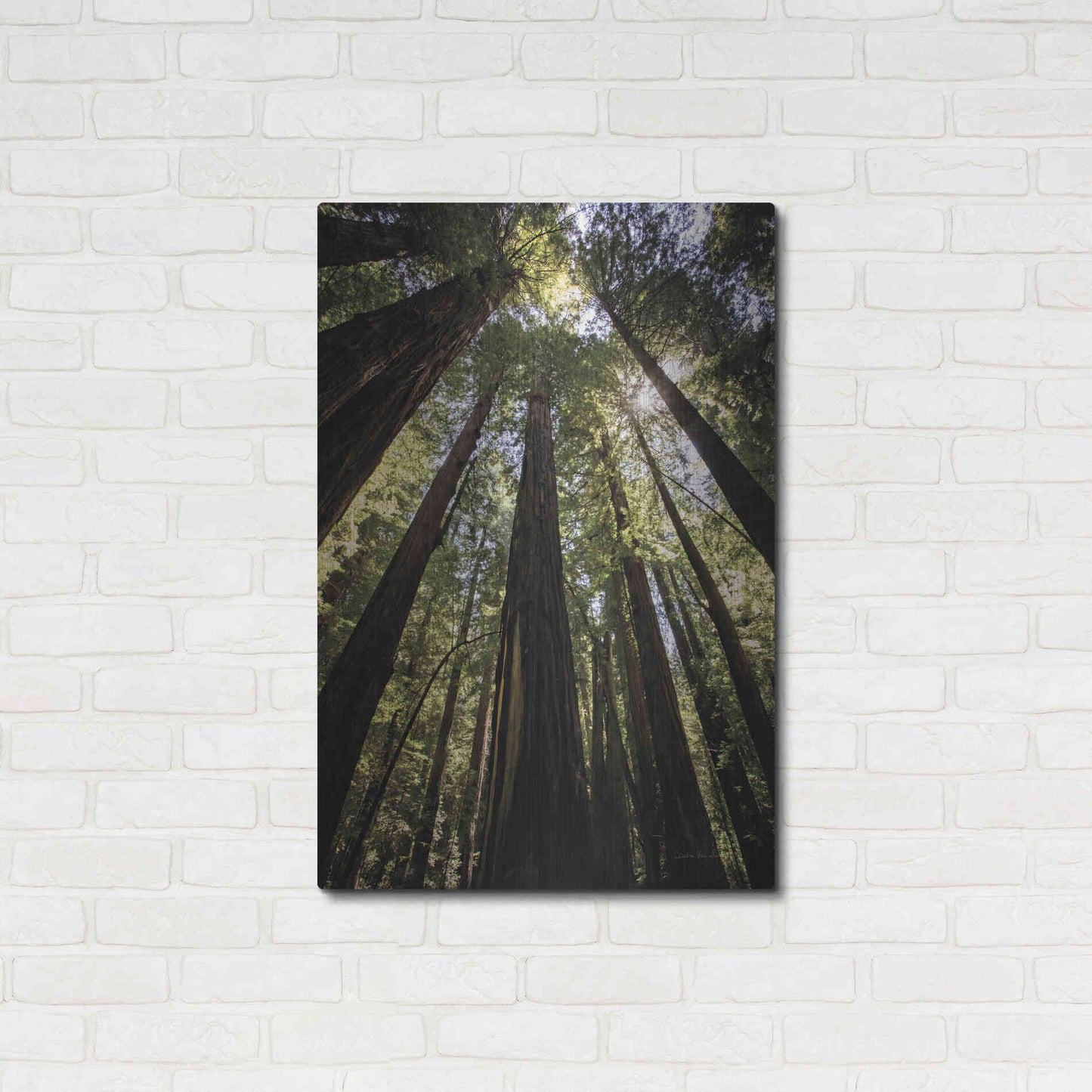 Luxe Metal Art 'The Stand' by Debra Van Swearingen, Metal Wall Art,24x36