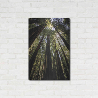 Luxe Metal Art 'The Stand' by Debra Van Swearingen, Metal Wall Art,24x36