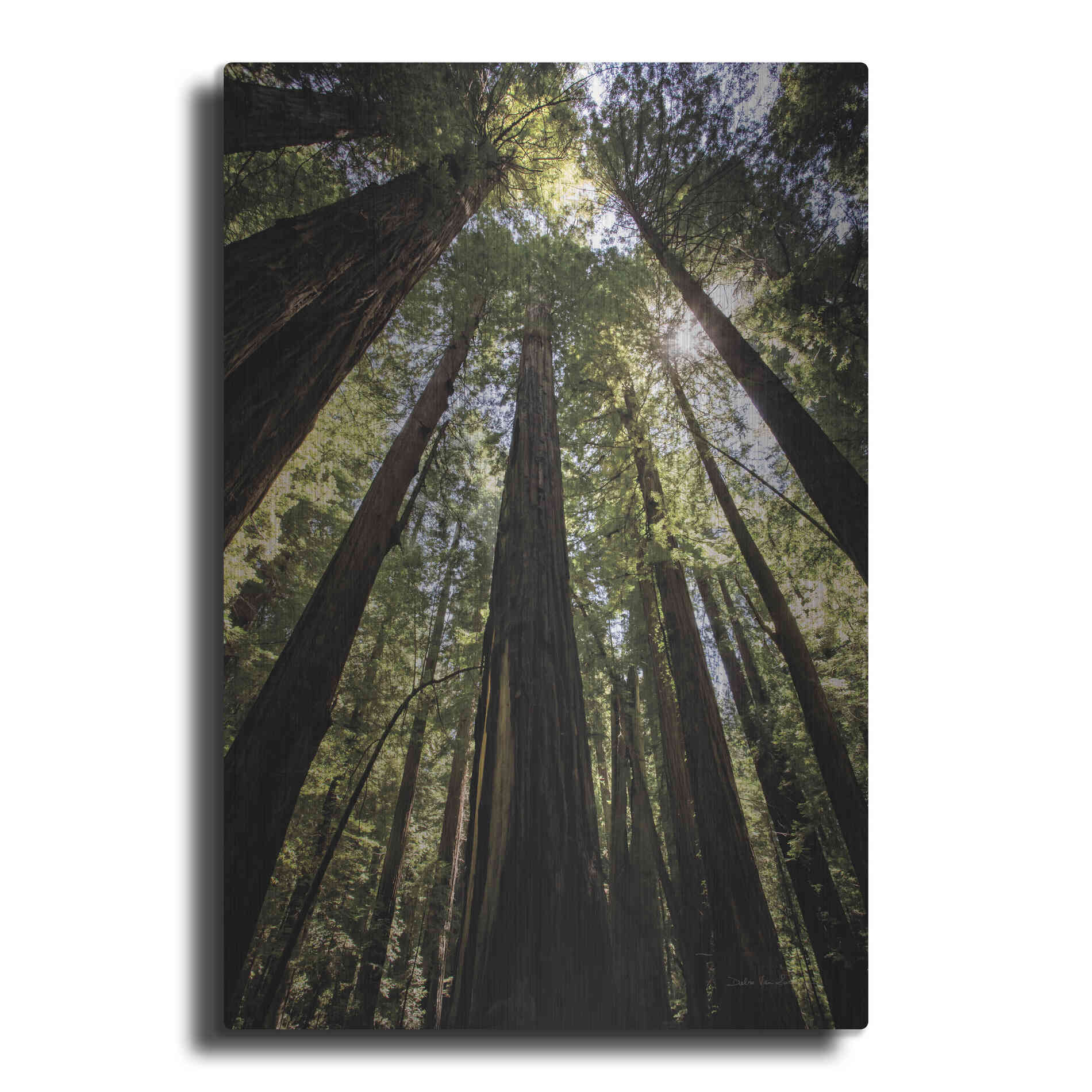 Luxe Metal Art 'The Stand' by Debra Van Swearingen, Metal Wall Art