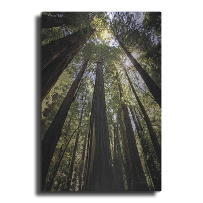 Luxe Metal Art 'The Stand' by Debra Van Swearingen, Metal Wall Art