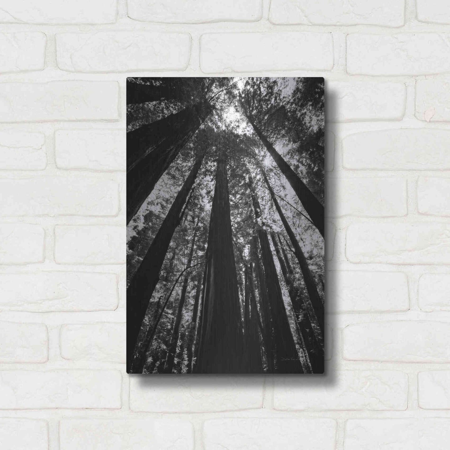 Luxe Metal Art 'The Stand BW' by Debra Van Swearingen, Metal Wall Art,12x16