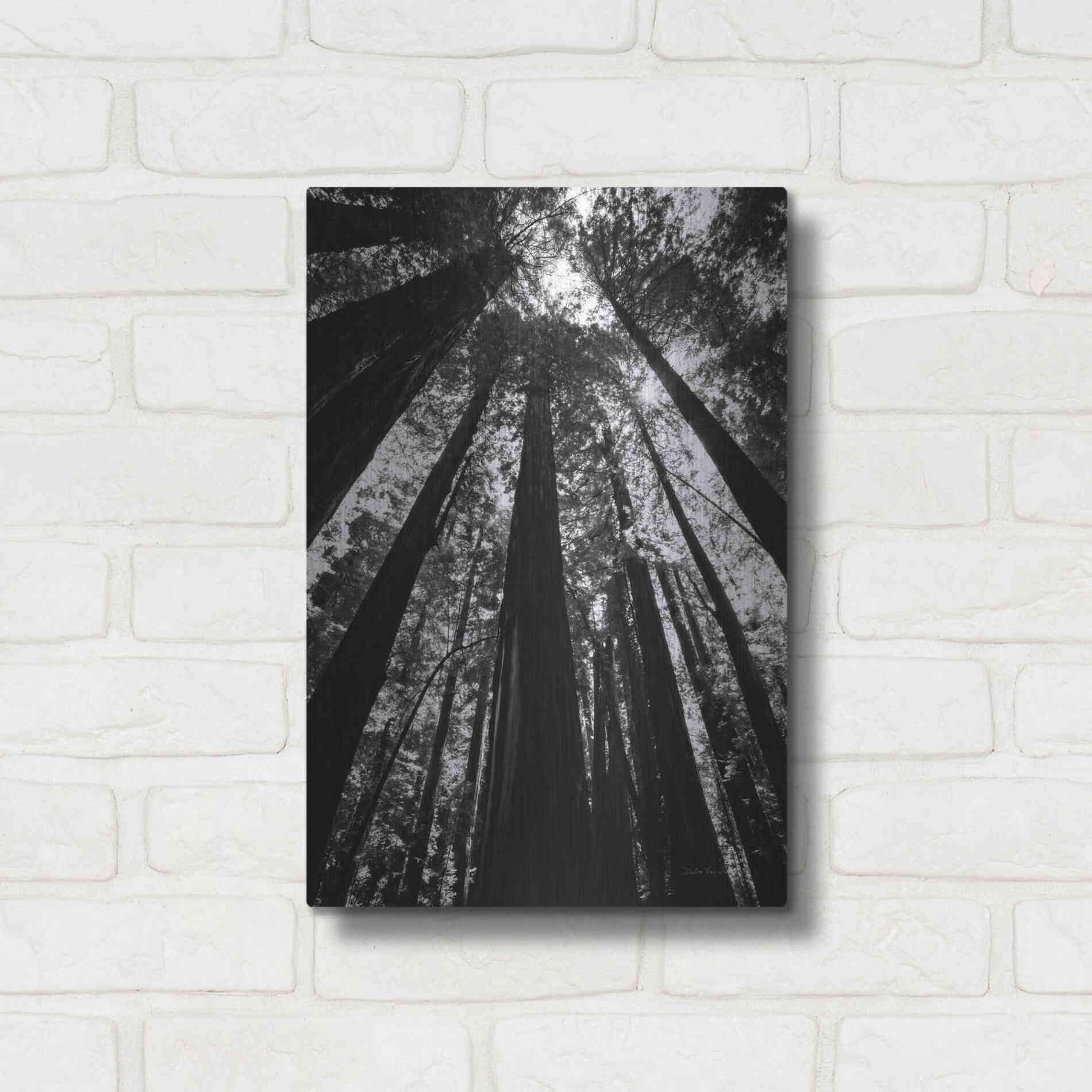 Luxe Metal Art 'The Stand BW' by Debra Van Swearingen, Metal Wall Art,12x16