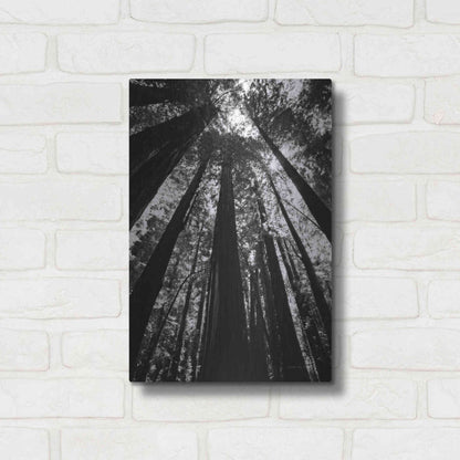 Luxe Metal Art 'The Stand BW' by Debra Van Swearingen, Metal Wall Art,12x16