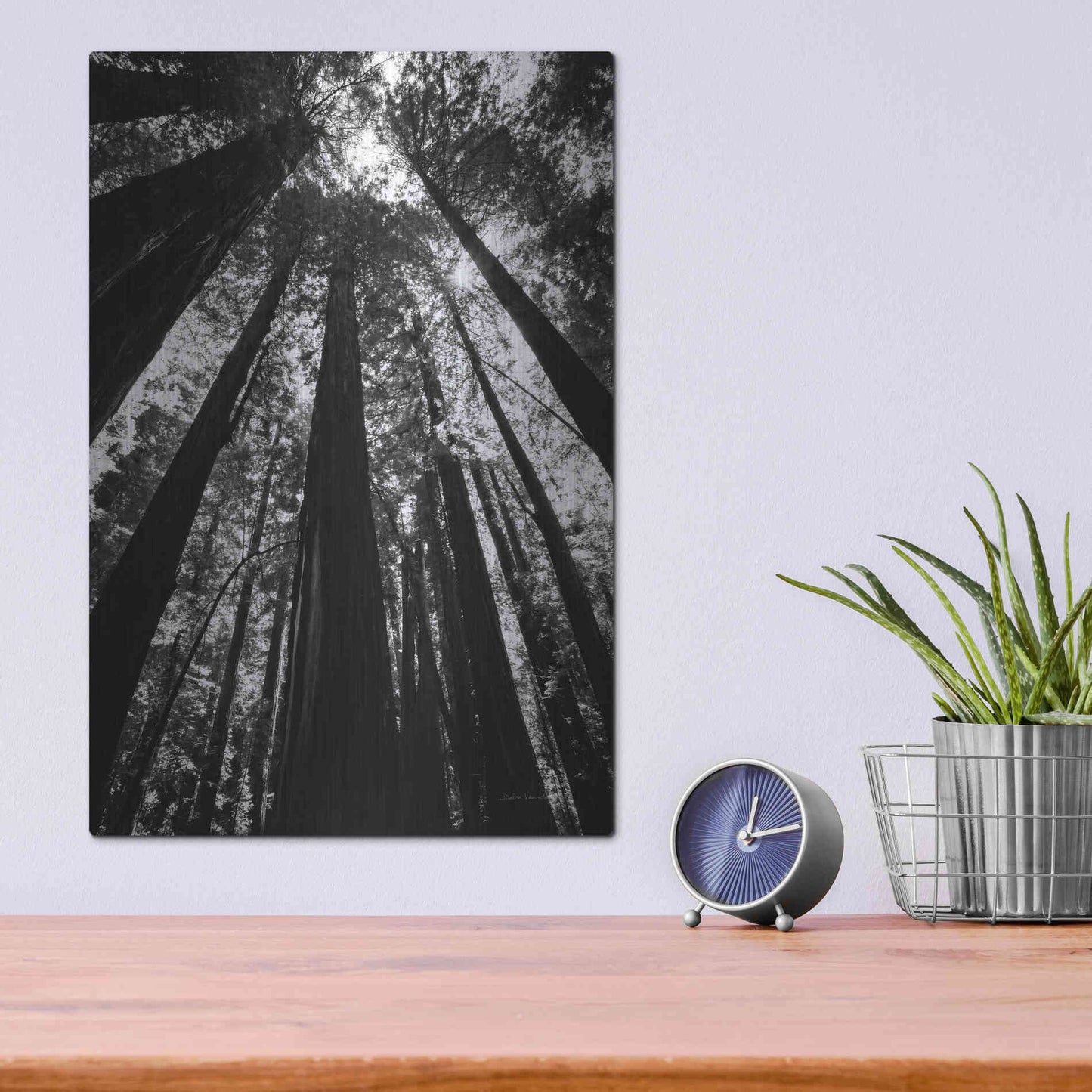 Luxe Metal Art 'The Stand BW' by Debra Van Swearingen, Metal Wall Art,12x16