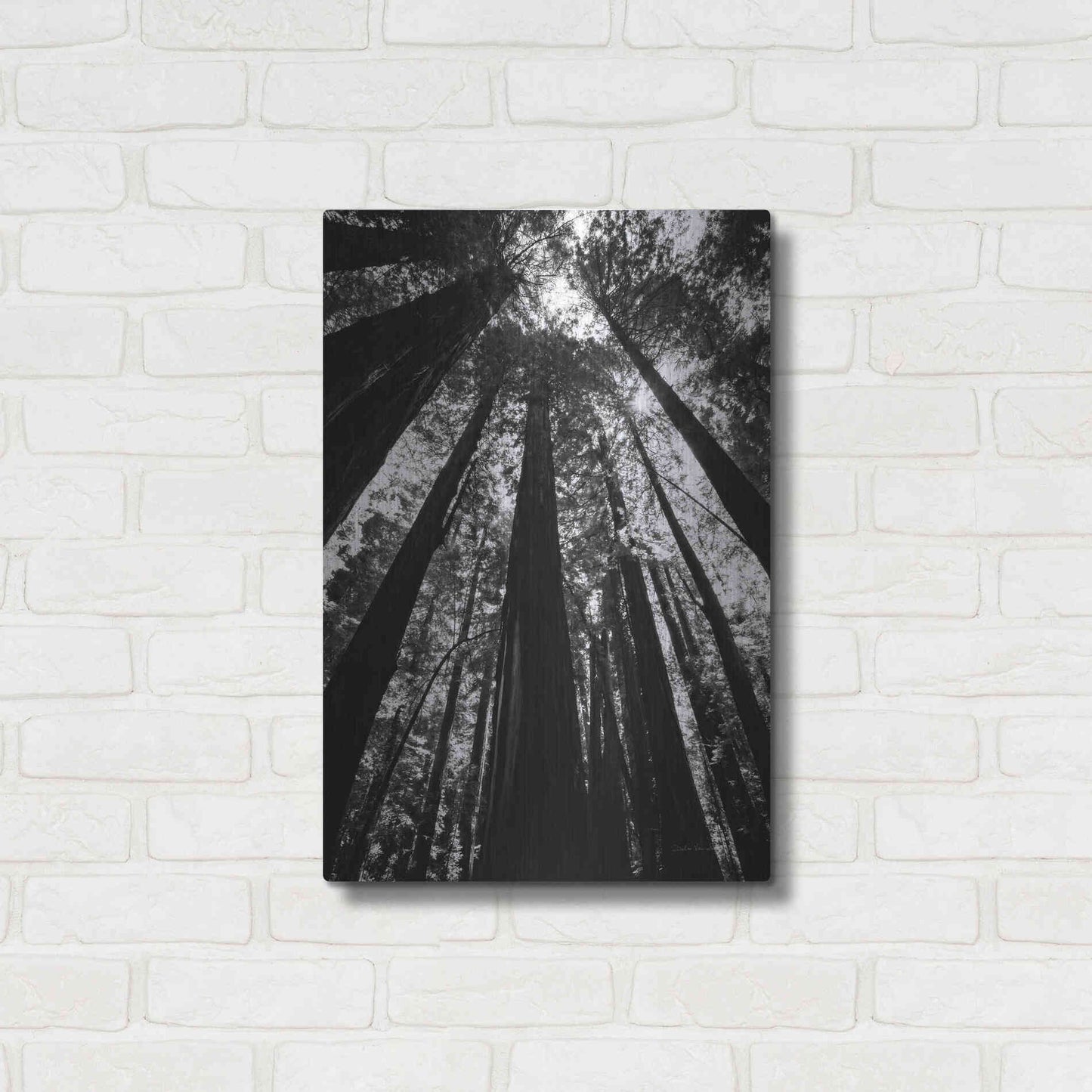 Luxe Metal Art 'The Stand BW' by Debra Van Swearingen, Metal Wall Art,16x24