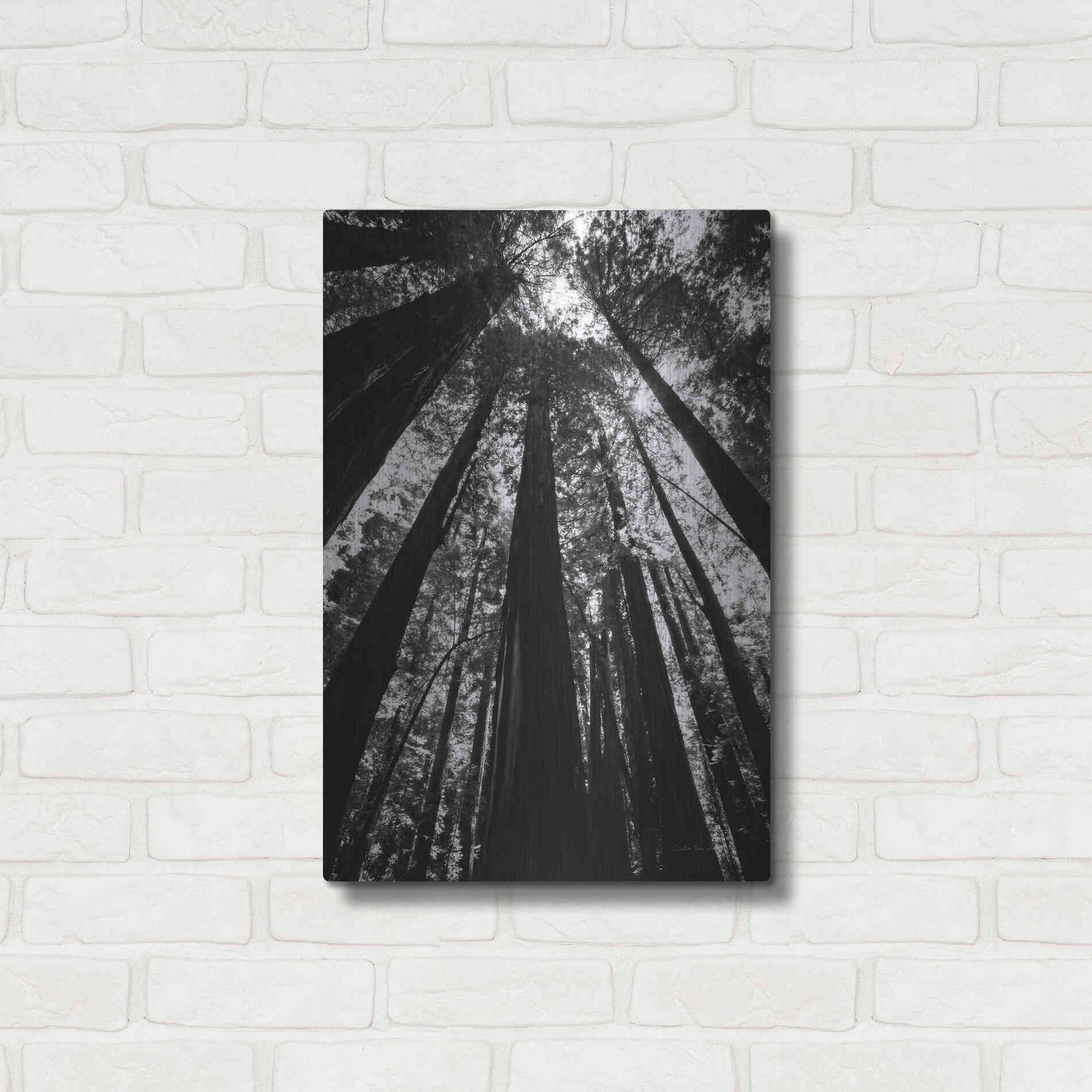 Luxe Metal Art 'The Stand BW' by Debra Van Swearingen, Metal Wall Art,16x24