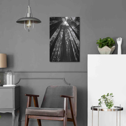 Luxe Metal Art 'The Stand BW' by Debra Van Swearingen, Metal Wall Art,16x24