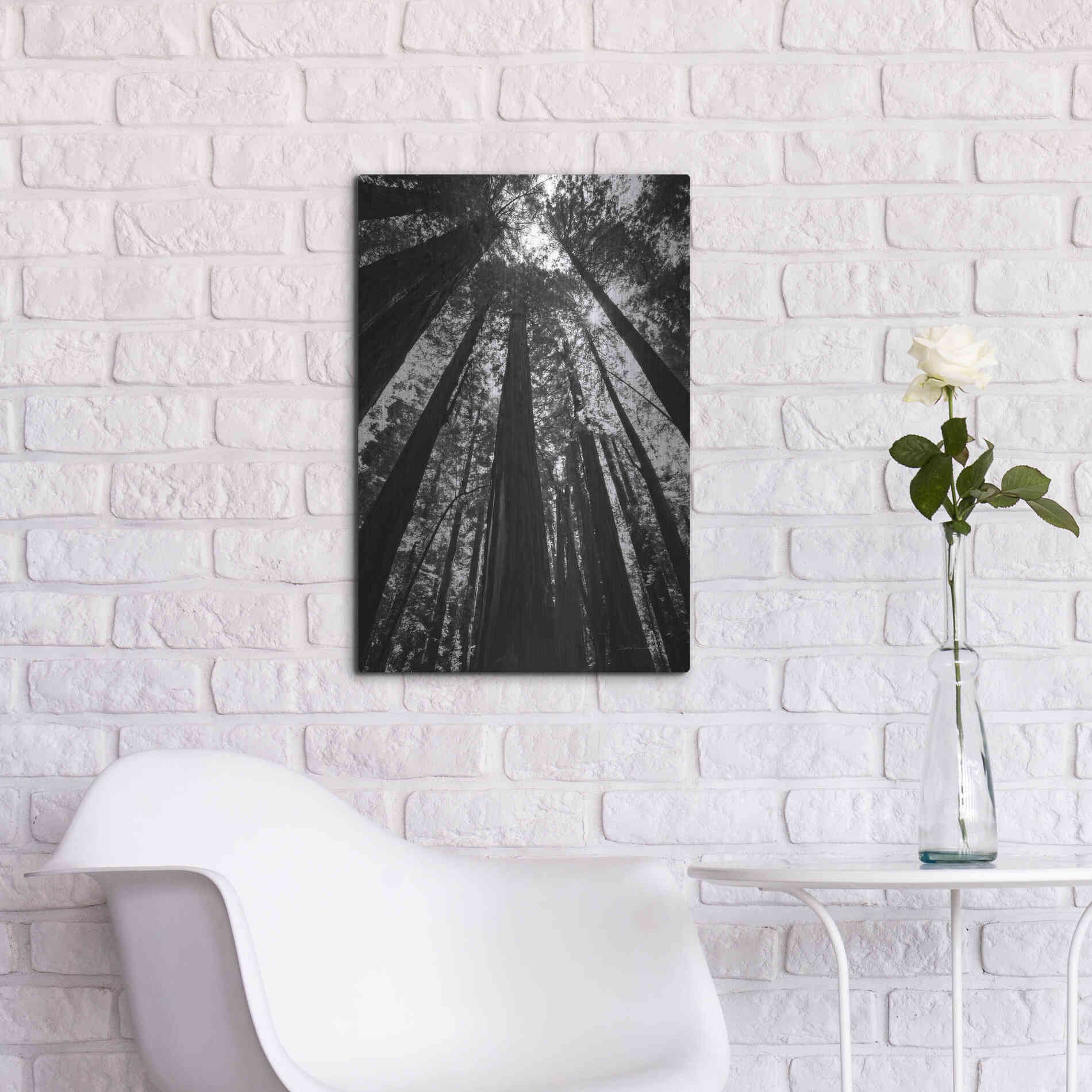 Luxe Metal Art 'The Stand BW' by Debra Van Swearingen, Metal Wall Art,16x24
