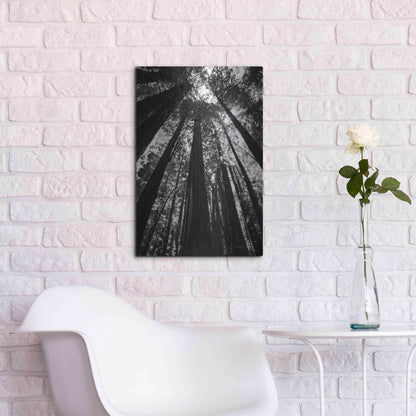 Luxe Metal Art 'The Stand BW' by Debra Van Swearingen, Metal Wall Art,16x24