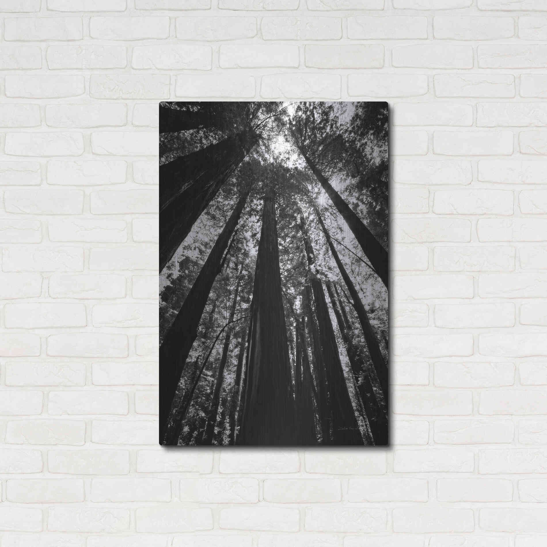 Luxe Metal Art 'The Stand BW' by Debra Van Swearingen, Metal Wall Art,24x36