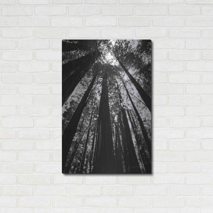 Luxe Metal Art 'The Stand BW' by Debra Van Swearingen, Metal Wall Art,24x36