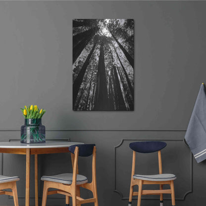 Luxe Metal Art 'The Stand BW' by Debra Van Swearingen, Metal Wall Art,24x36