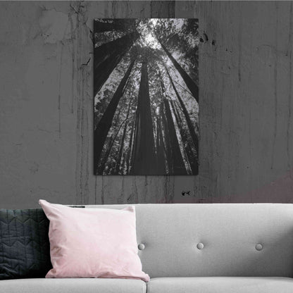 Luxe Metal Art 'The Stand BW' by Debra Van Swearingen, Metal Wall Art,24x36