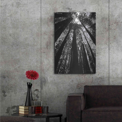 Luxe Metal Art 'The Stand BW' by Debra Van Swearingen, Metal Wall Art,24x36