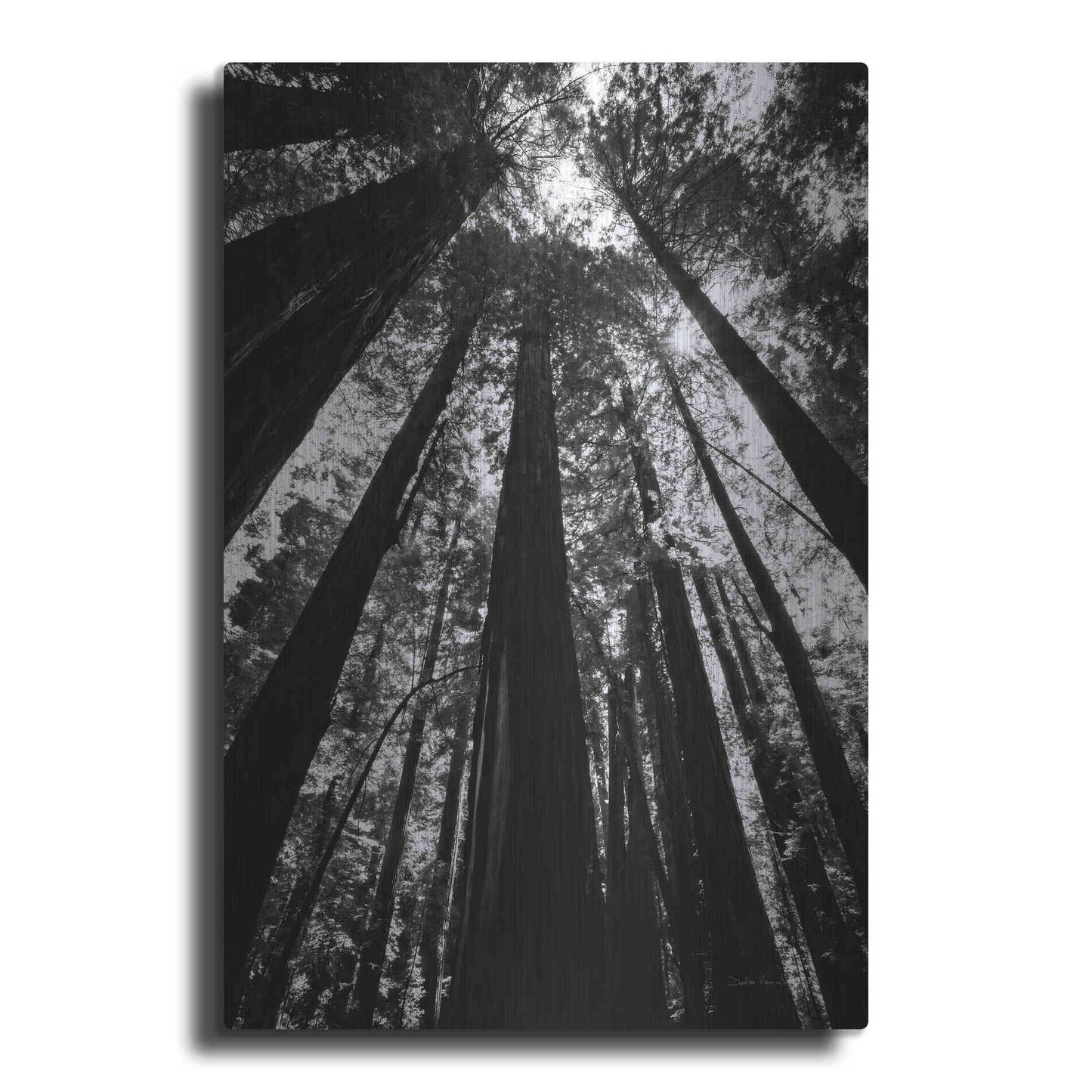 Luxe Metal Art 'The Stand BW' by Debra Van Swearingen, Metal Wall Art