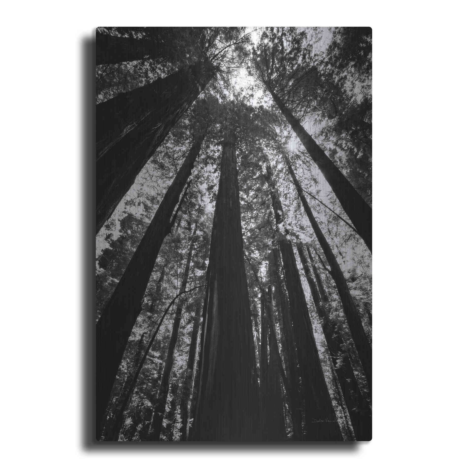 Luxe Metal Art 'The Stand BW' by Debra Van Swearingen, Metal Wall Art