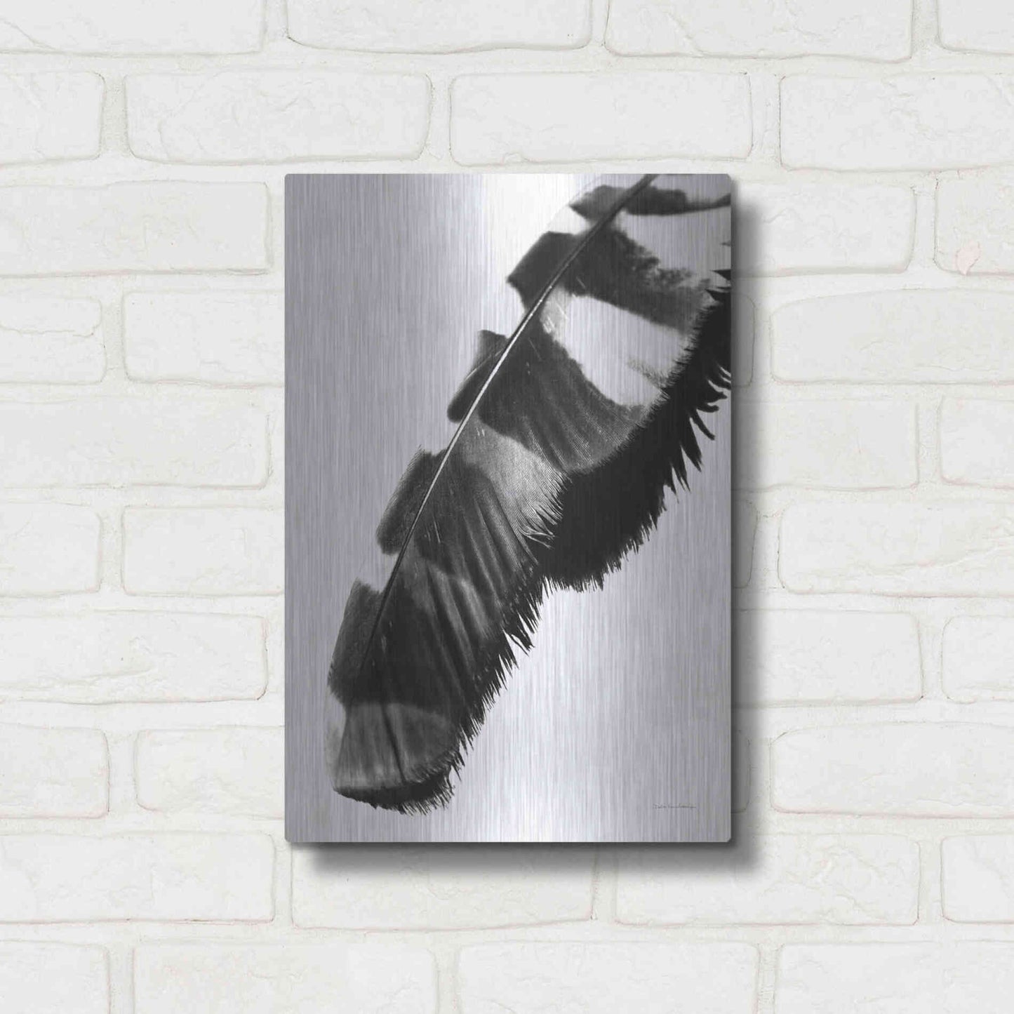 Luxe Metal Art 'Feather Shadow II White' by Debra Van Swearingen, Metal Wall Art,12x16