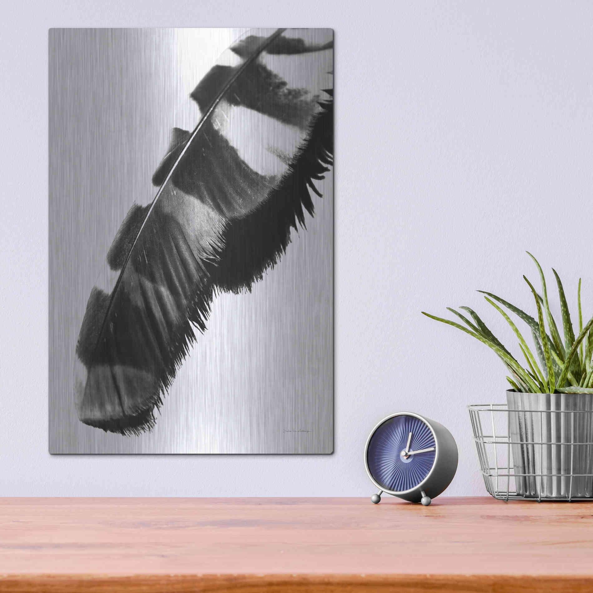 Luxe Metal Art 'Feather Shadow II White' by Debra Van Swearingen, Metal Wall Art,12x16