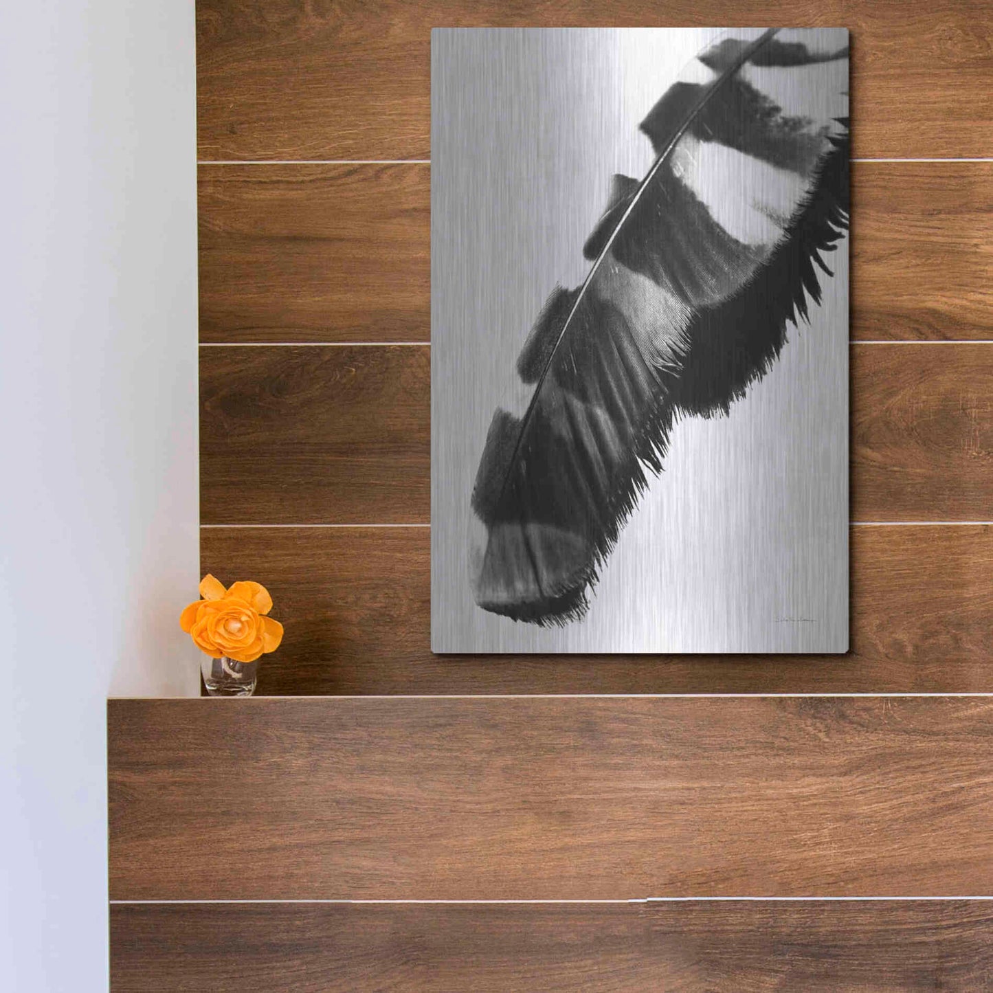 Luxe Metal Art 'Feather Shadow II White' by Debra Van Swearingen, Metal Wall Art,12x16