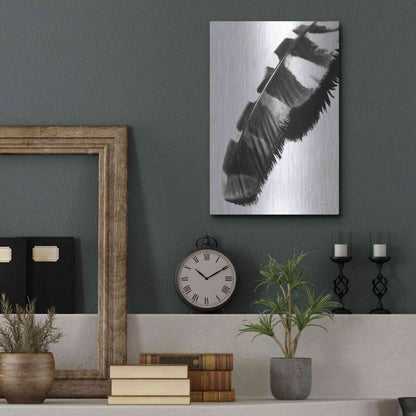 Luxe Metal Art 'Feather Shadow II White' by Debra Van Swearingen, Metal Wall Art,12x16