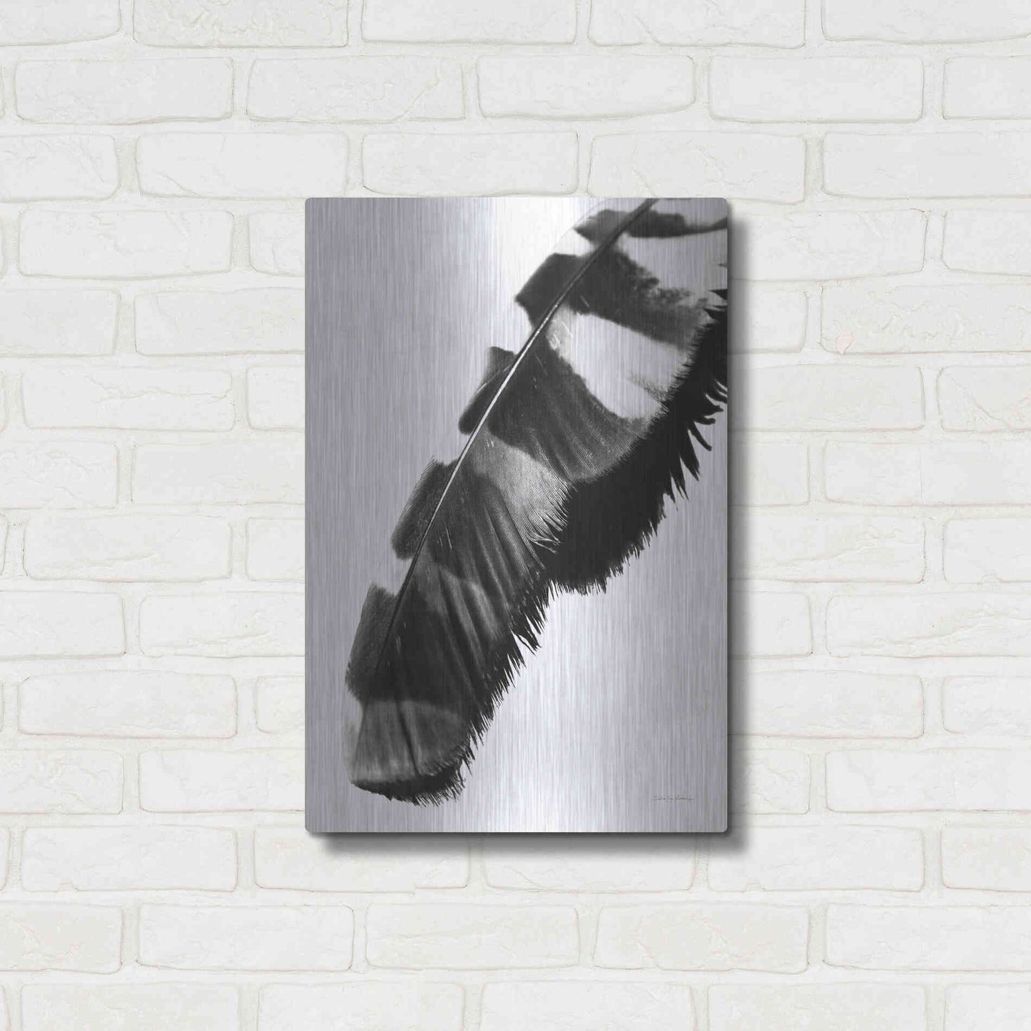 Luxe Metal Art 'Feather Shadow II White' by Debra Van Swearingen, Metal Wall Art,16x24