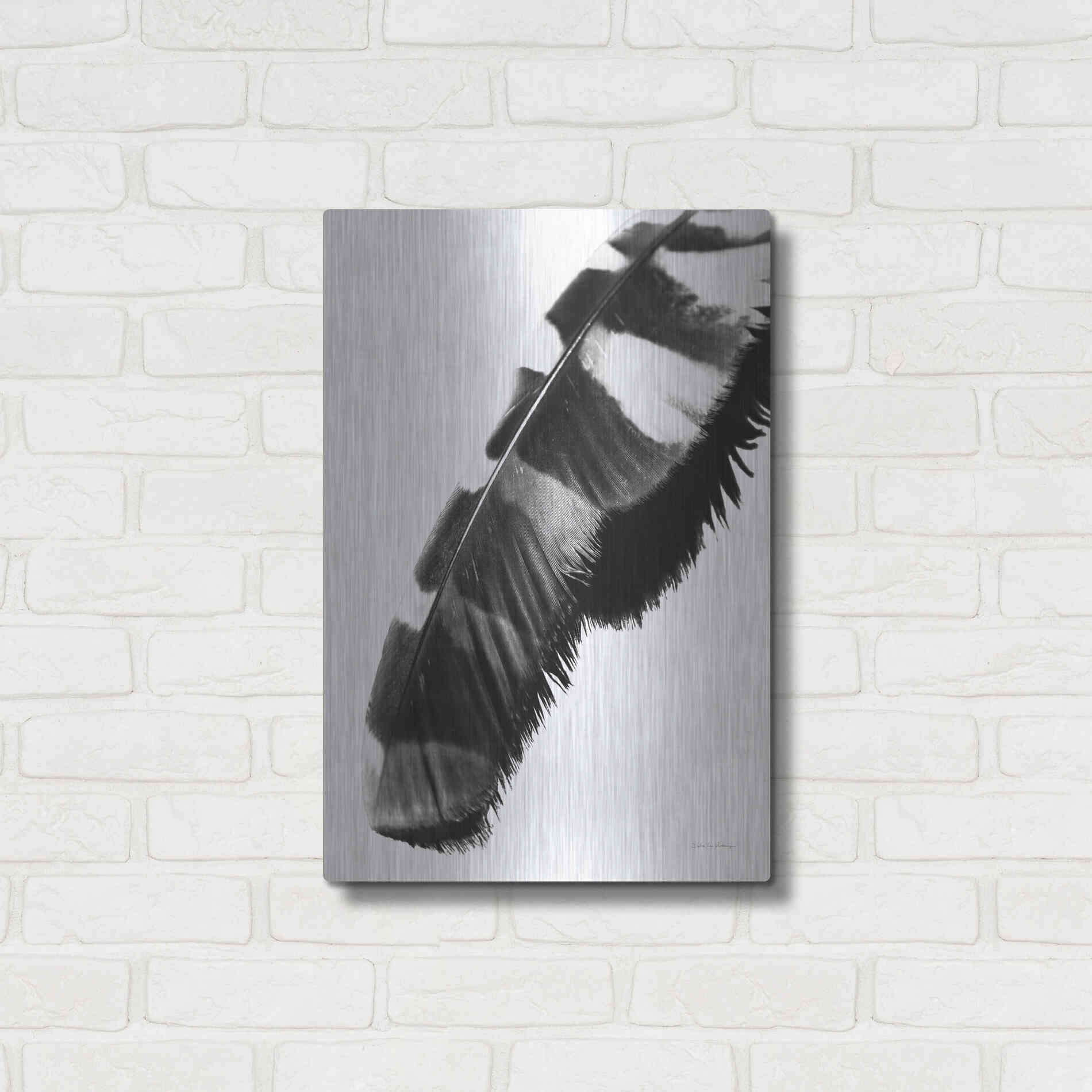 Luxe Metal Art 'Feather Shadow II White' by Debra Van Swearingen, Metal Wall Art,16x24